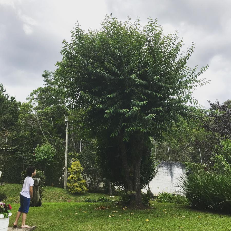 Pousada Recanto Castelinho Campos do Jordão Exterior foto