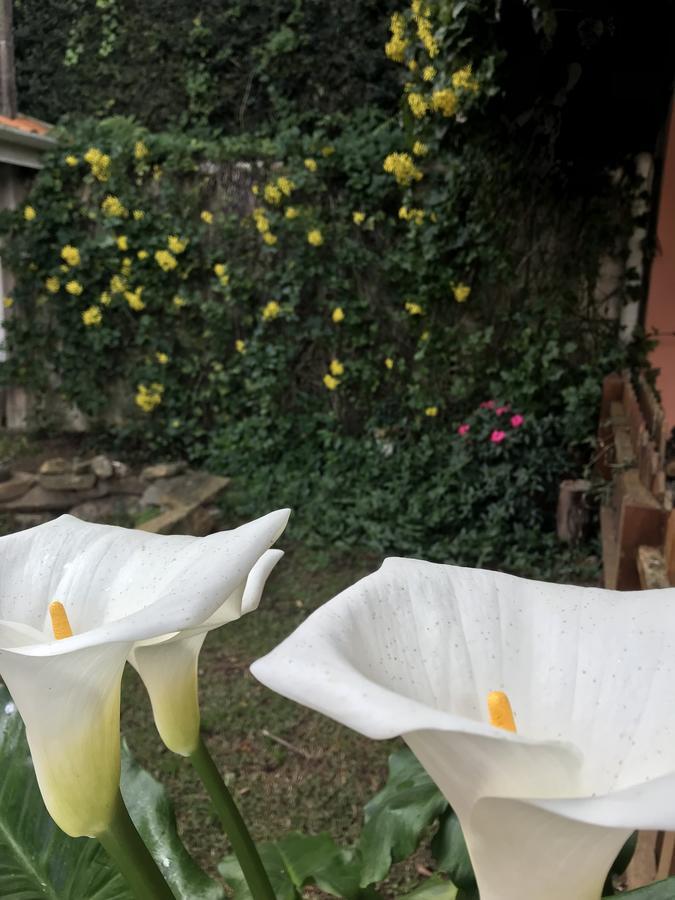 Pousada Recanto Castelinho Campos do Jordão Exterior foto